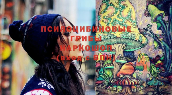 крисы Ступино